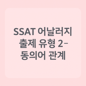 SSAT 시험 단어 기출 유형 어날러지 2