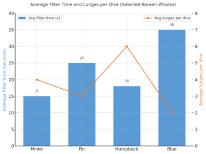 Average filter time and lunges per dive for minke, fin, humpback, blue whales