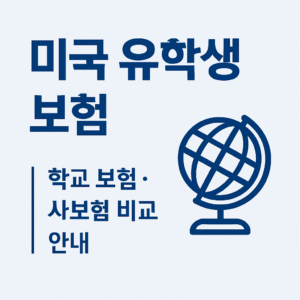 미국 유학생 보험